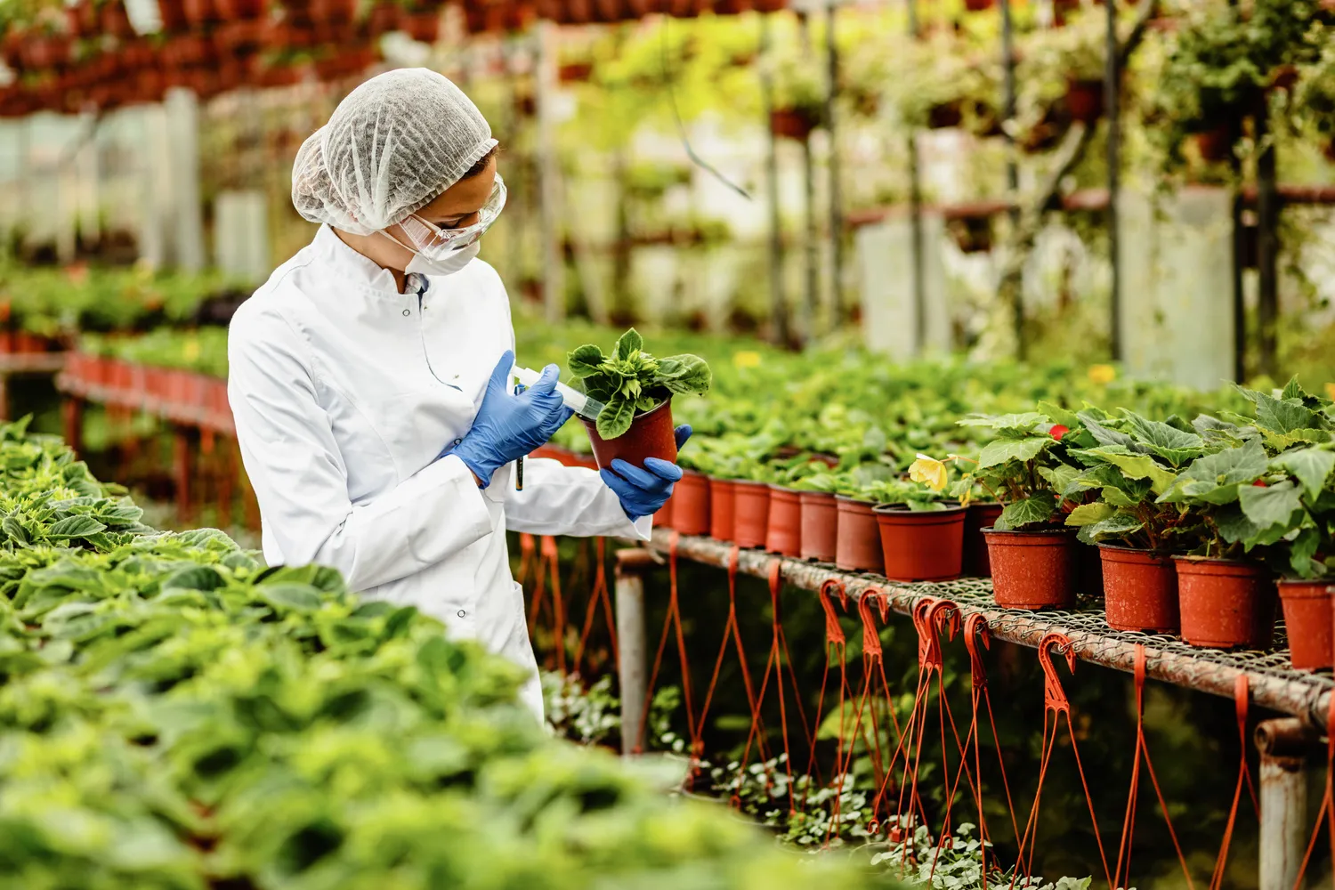 Agriculture industry chemicals